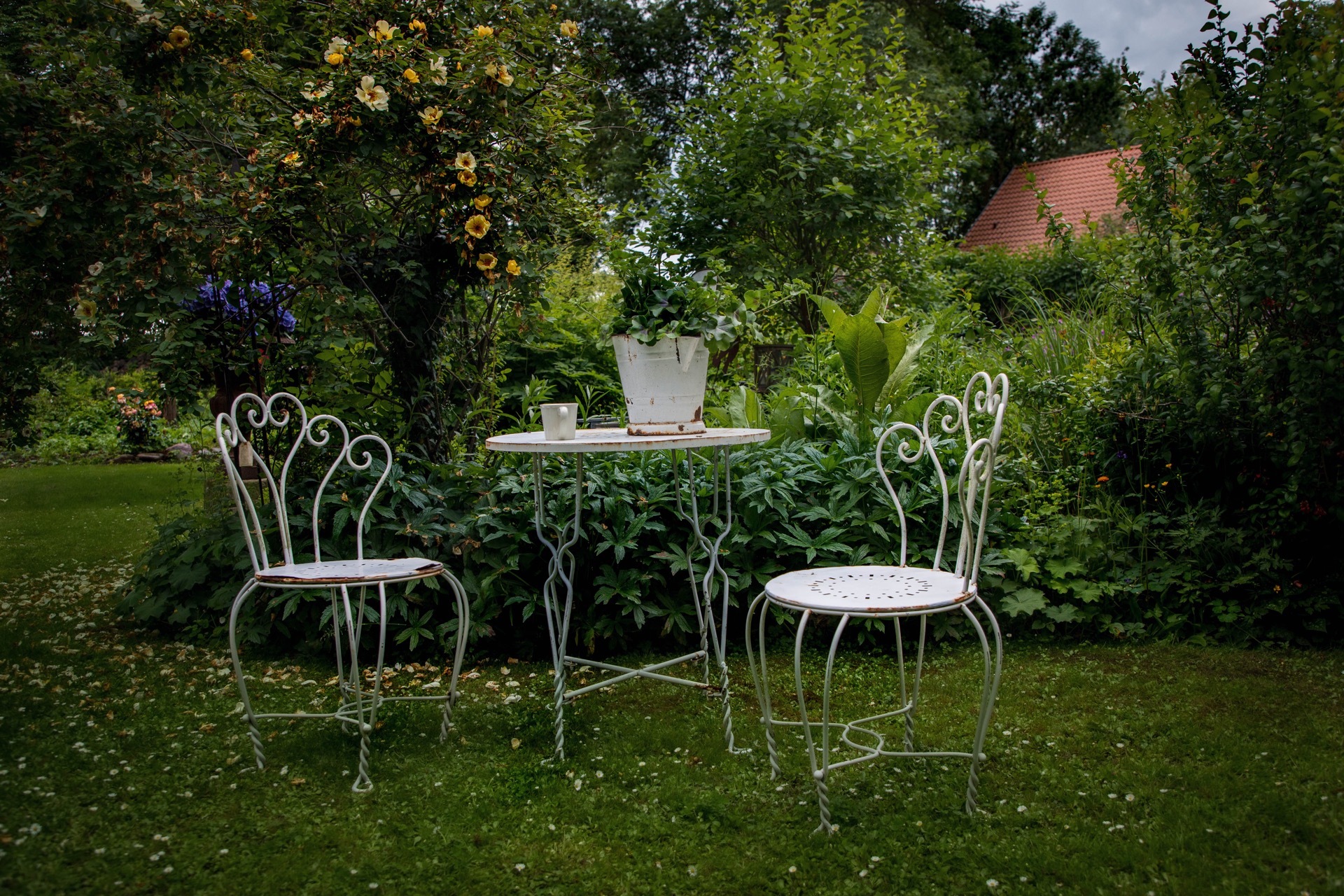 Ein riesiger, charmanter Cottagegarten PflanzenspracheGartenblog